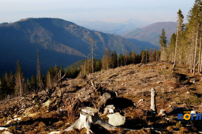 Погляд — новини Київщини онлайн - a17164df-4091-4ab0-a225-b9a96acb0910 - зображення